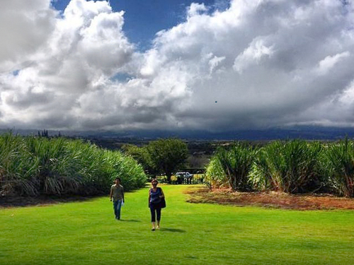 Maui Hawaii country side  sightseeing Excursion Prices