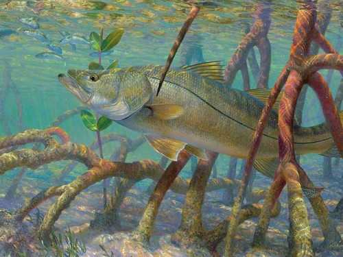 San Juan Puerto Rico fishing Excursion Cost