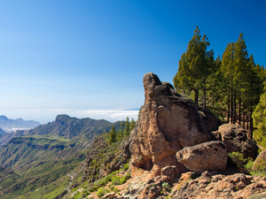 Las Palmas Bandama, High Peaks and Roque Nublo Excursion