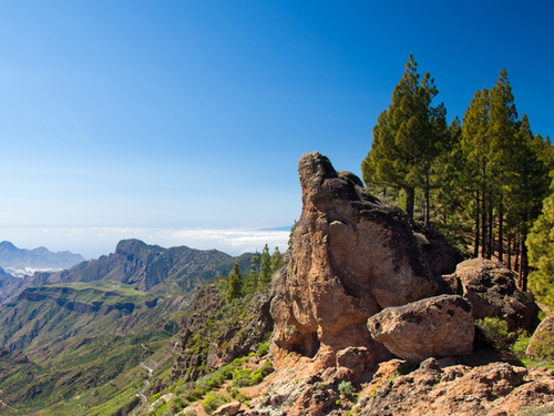 Las Palmas  Gran Canaria Pico de las Nieves guided Cruise Excursion Cost