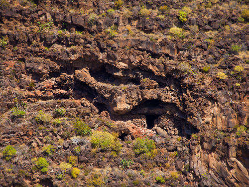 Las Palmas  Gran Canaria Guayadeque caves Guided Shore Excursion Reservations