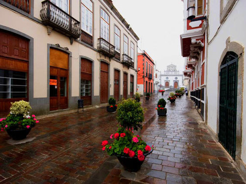 Las Palmas  Gran Canaria Cruz Tejeda guided Excursion Reviews