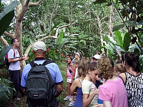 Puntarenas rain forest Tickets Booking