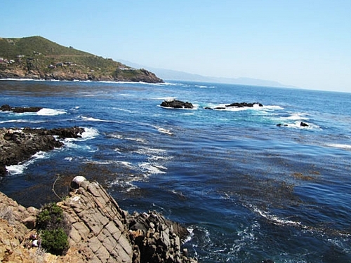 Ensenada  Mexico tropical fish Trip