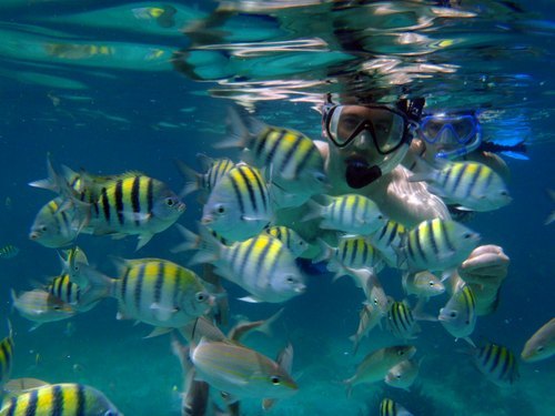 Grand Cayman  George Town snorkeling Cruise Excursion