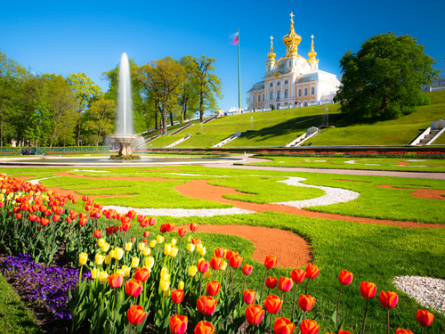 St. Petersburg Peterhof Palace Excursion Reviews