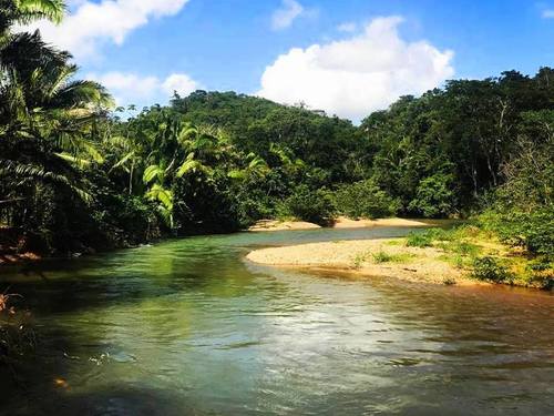 Belize river kayaking Excursion Reviews