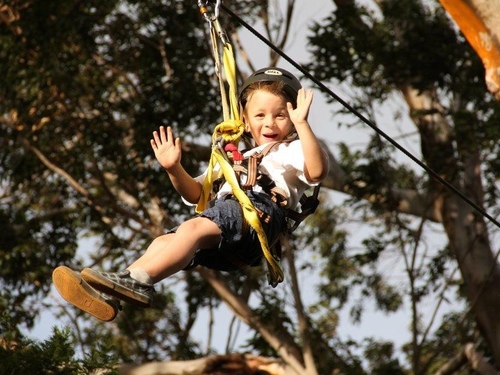 Maui Hawaii zip line Cruise Excursion Reservations
