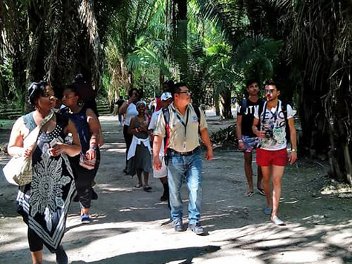 Mahahual Mayan Ruins Tour Reviews