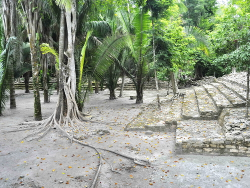 Mahahual Chacchoben Mayan Ruins Shore Excursion Tickets
