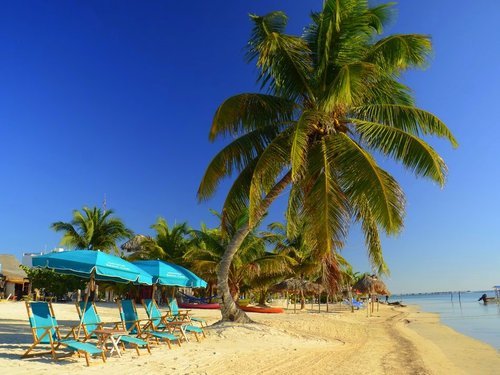 Mahahual Swimming Trip Booking