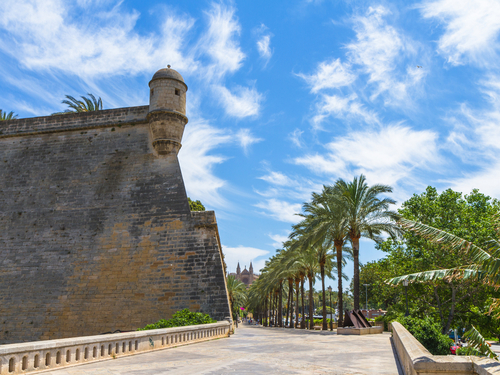 Mallorca Le Seu Tour Reservations
