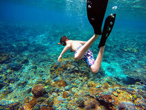 Roatan  Honduras coral reef Excursion Prices