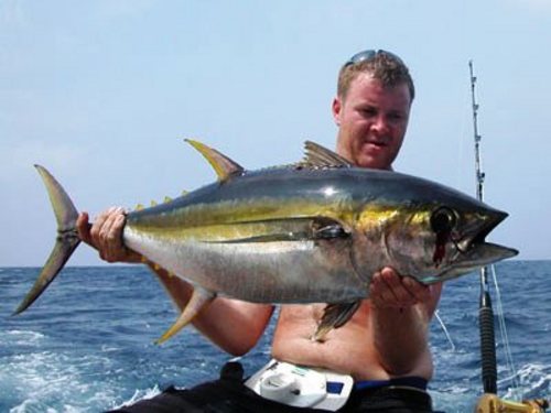 Costa Maya Mexico sport fishing  Excursion Tickets