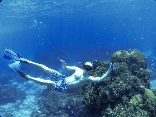 Costa Maya snorkeling  Cruise Excursion Cost