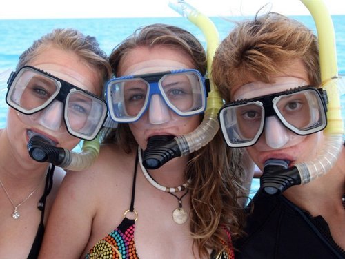 Cabo San Lucas  Mexico numerous fish Reservations