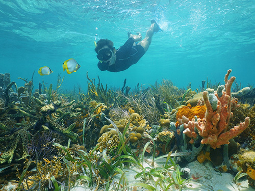 Roatan  Honduras french cay Shore Excursion Reservations