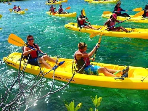 Virgin Islands mangrove kayak Shore Excursion Reservations