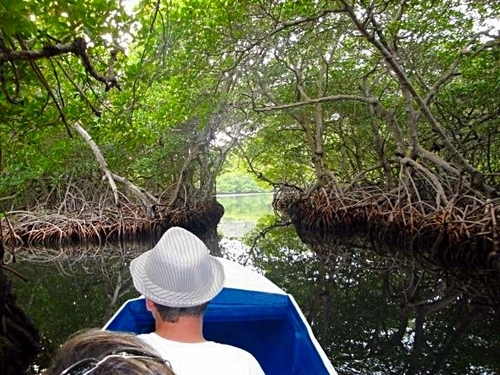 Roatan Honduras highlights Cruise Excursion Booking