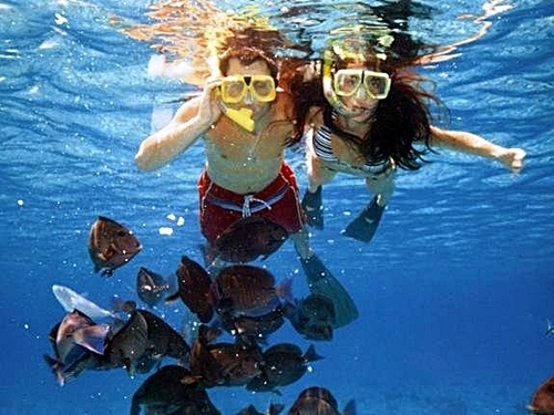 Roatan snorkeling Cruise Excursion Prices