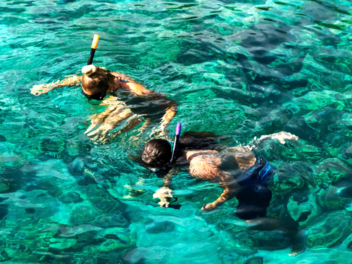Cozumel Mexico unlimited snorkeling Excursion Cost