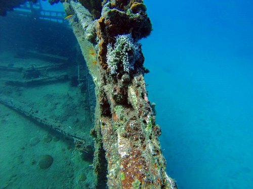 Bridgetown all inclusive party cruise Trip Cost