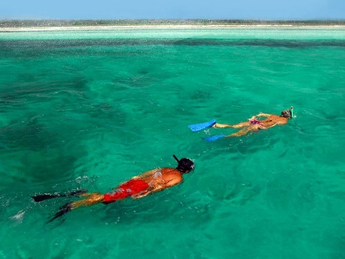 Key West Fury snorkel Shore Excursion Reviews
