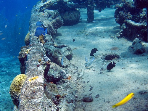 Curacao guided snorkeling Excursion Reservations