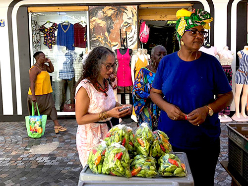 Martinique Fort de France Cultural Walking Shore Excursion Prices