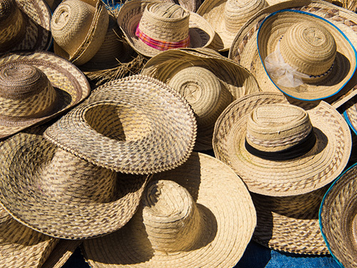 Martinique Ice Cream Walking Trip Reservations