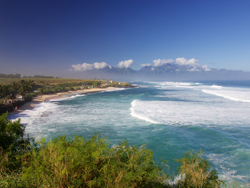 Maui Lahaina beach  sightseeing Shore Excursion Prices
