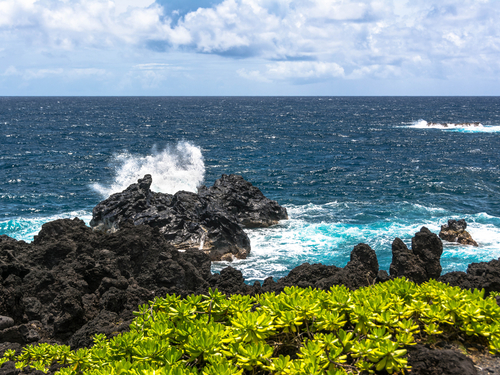 Maui (Kahului) Hawaii / USA curve Cruise Excursion Booking