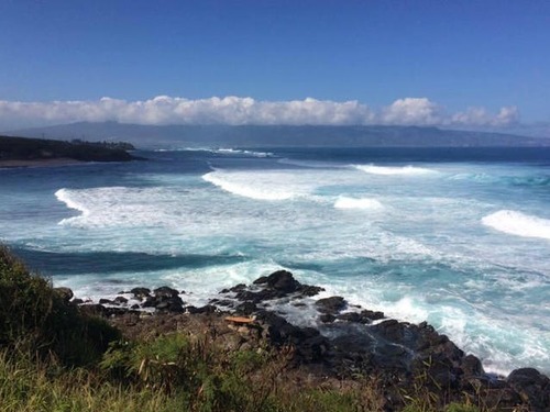 Maui (Kahului)  Hawaii / USA Pineapple Cruise Excursion Reviews