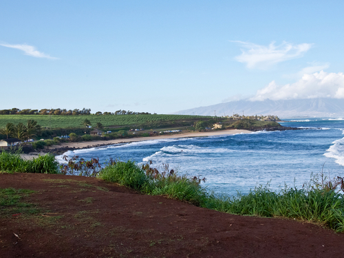 Maui (Kahului)  Hawaii / USA Ulupalakua Tour Prices