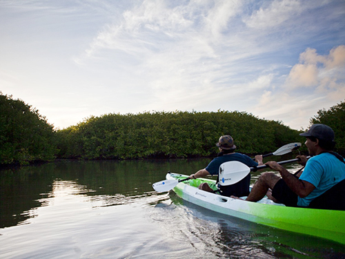 Mazatlan Mexico Kayak  Eco Shore Excursion Tickets