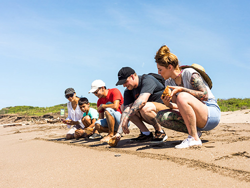 Mazatlan Sea Turtle Sanctuary Eco Cruise Excursion Reservations