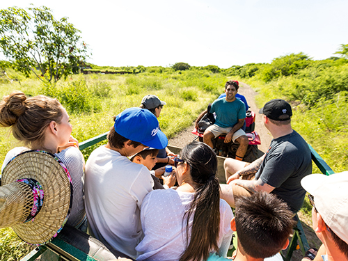 Mazatlan Mexico El Verde Sanctuary Eco Excursion Tickets