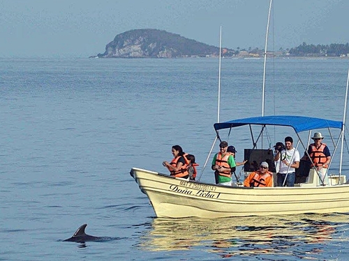 Mazatlan Mexico snorkel with dolphin Tour Tickets