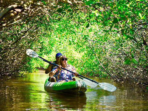 Mazatlan El Recreo Community Eco Trip Cost