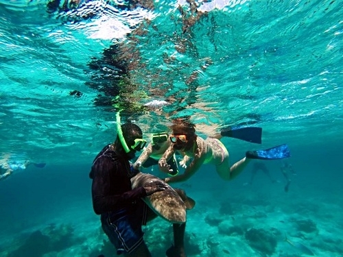 Grand Turk  Turks and Caicos wall snorkel Excursion Prices