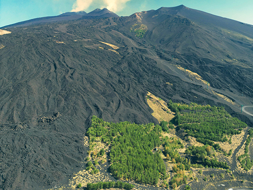 Messina Private Full Day to Mount Etna and Wine Tasting Excursion