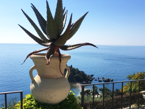 Messina Private Full Day to Savoca and Taormina Excursion