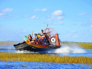 Miami Everglades Airboat and Biscayne Bay Boat Sightseeing Excursion