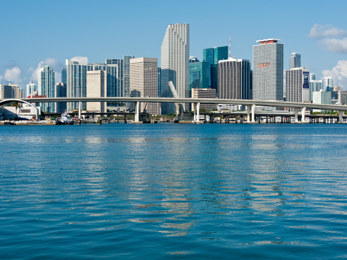 Miami Midtown Sightseeing Trip Cost