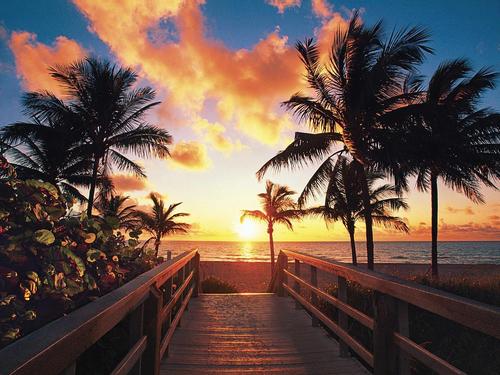 Miami key west on your own Shore Excursion Prices