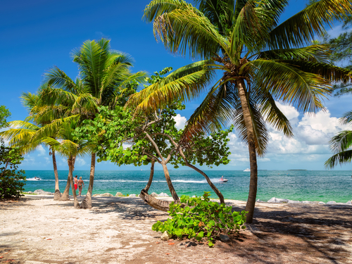 Miami  US key west Shore Excursion Booking