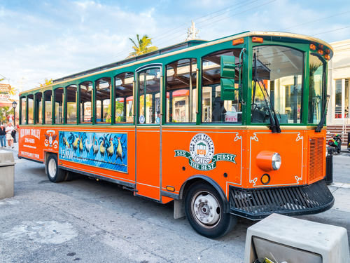 Miami trolley Shore Excursion Reviews