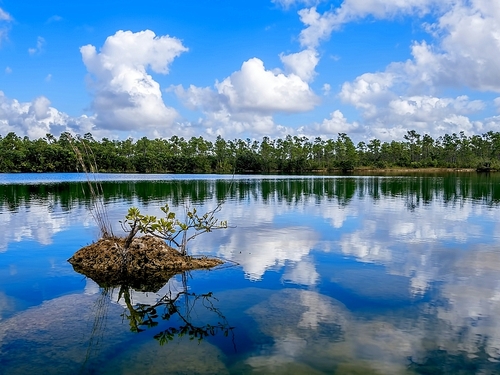 Miami everglades Excursion Reservations