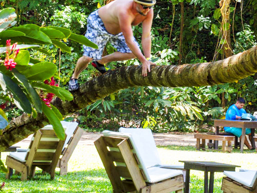 Montego Bay Dunn's River Falls Excursion with Cocktails and Lunch at Reggae Hill