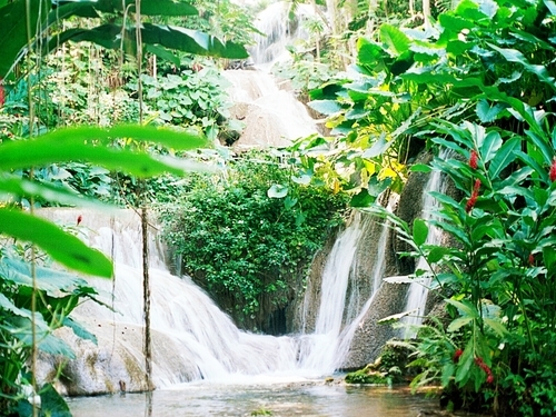 Montego Bay Jamaica Falls Tubing Excursion Booking